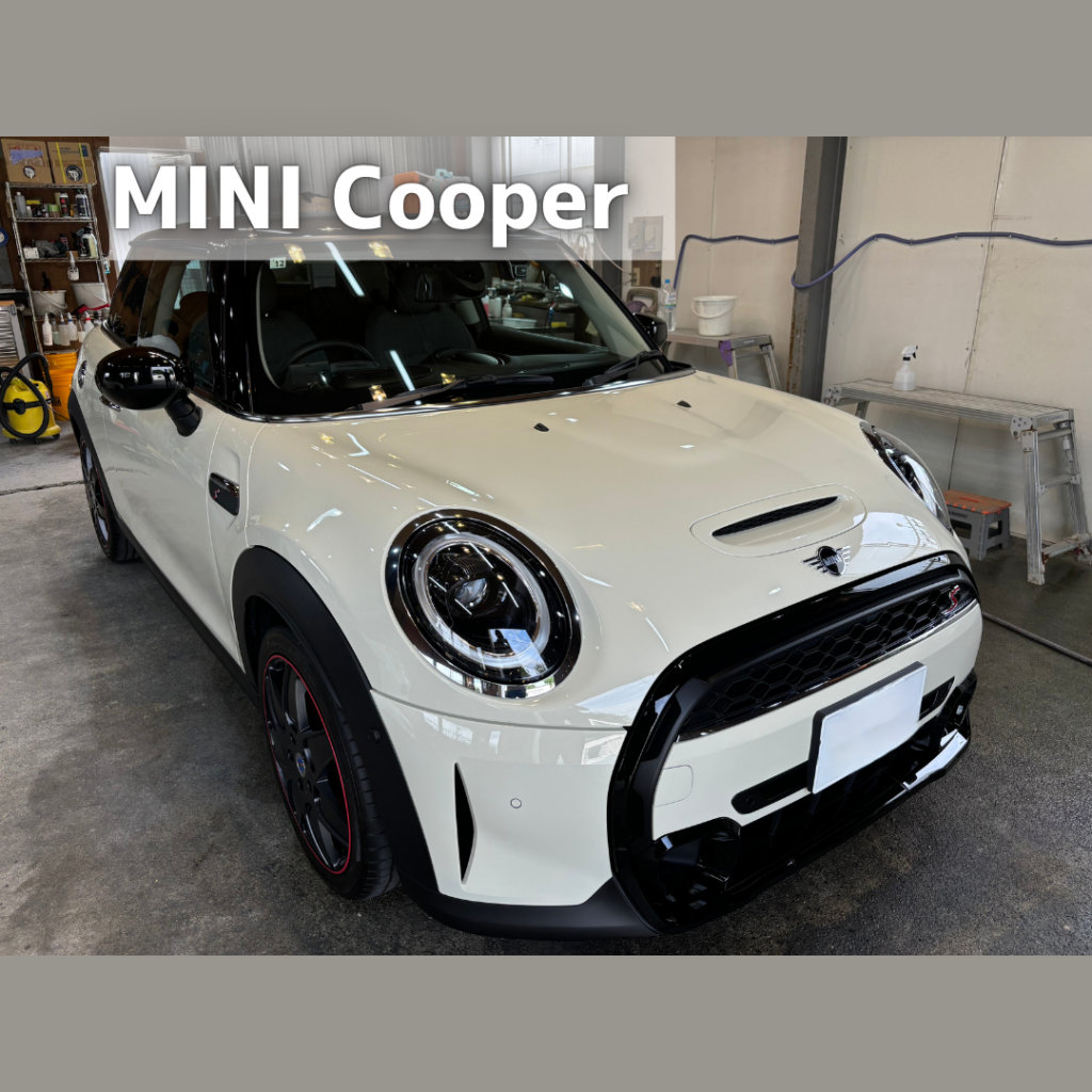 BMW MINI COOPER CREAT LUSTER COAT